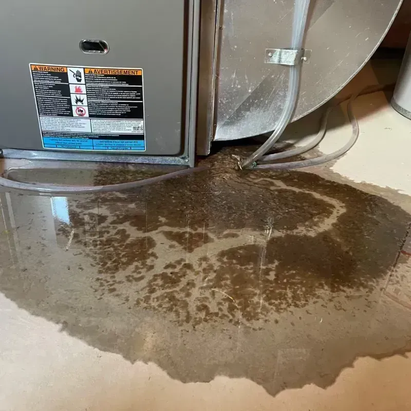 Appliance Leak Cleanup in Chenoa, IL